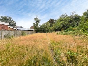 Garden- click for photo gallery